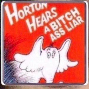 Meet your Posher, Camille